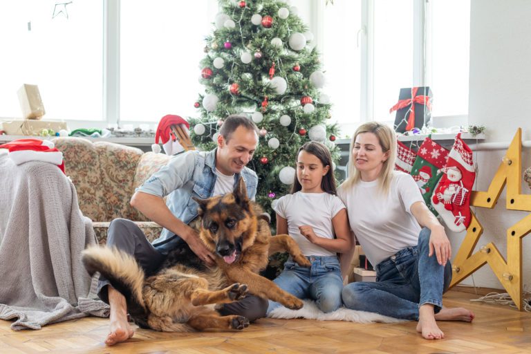 Friendly family is playing with dog near Christmas tree. They are sitting and laughing